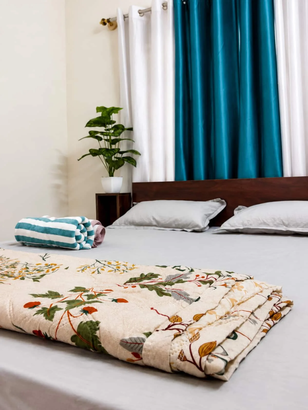 Cozy minimal bedroom with plant details