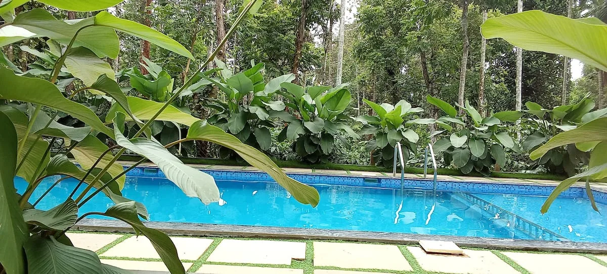 Pool image 1